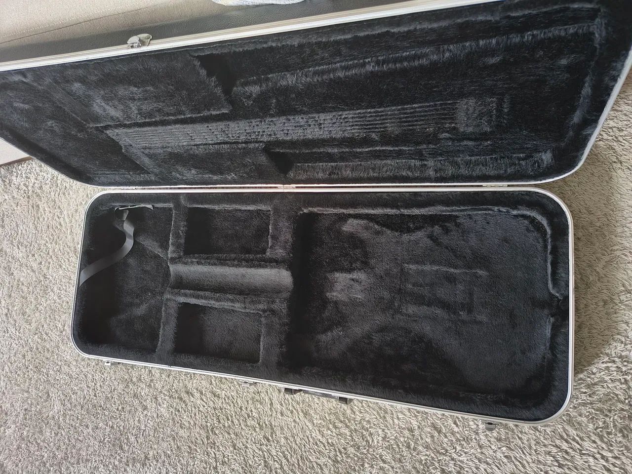 Case Gator  - Foto 4