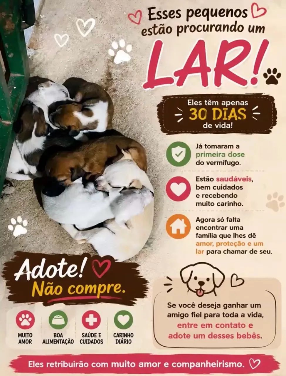 Doação 