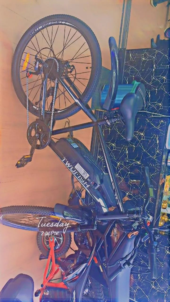 Bicicleta Elétrica 
