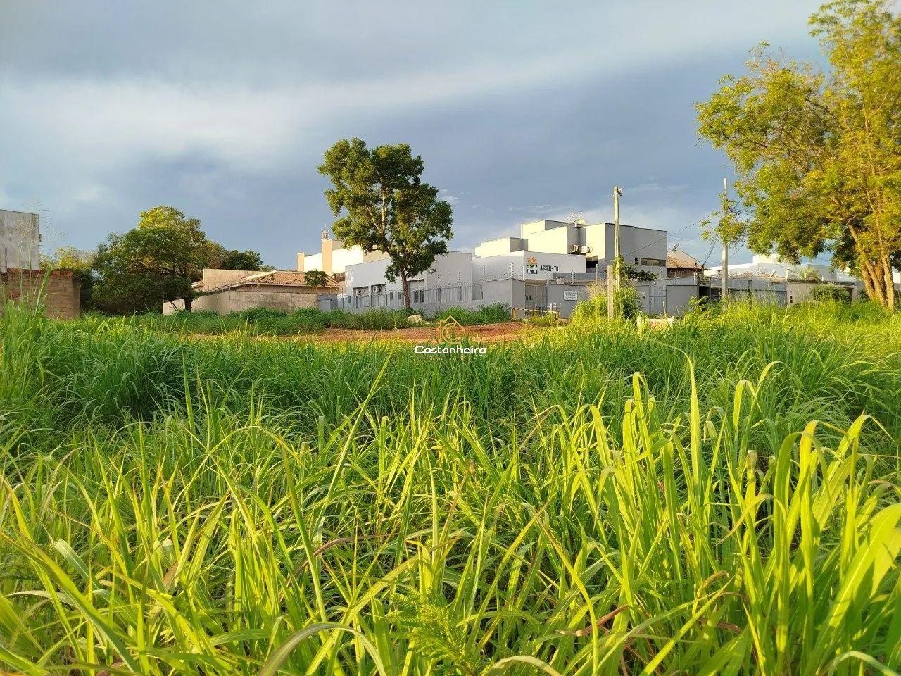 Lote Comercial - 144 m² - Plano Diretor Norte - Foto 2