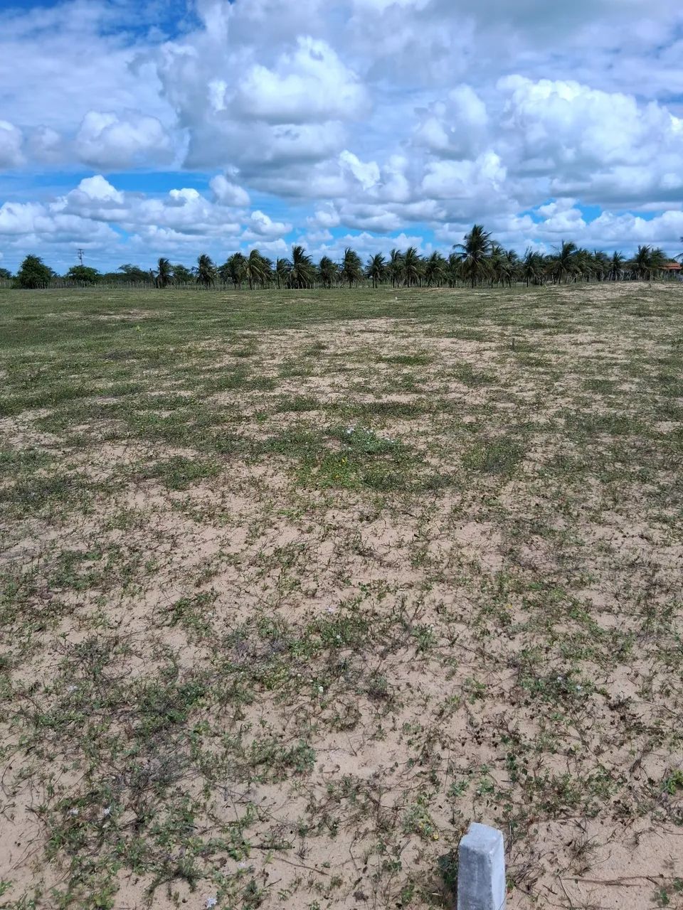 Excelente terreno em caiçara  - Foto 5