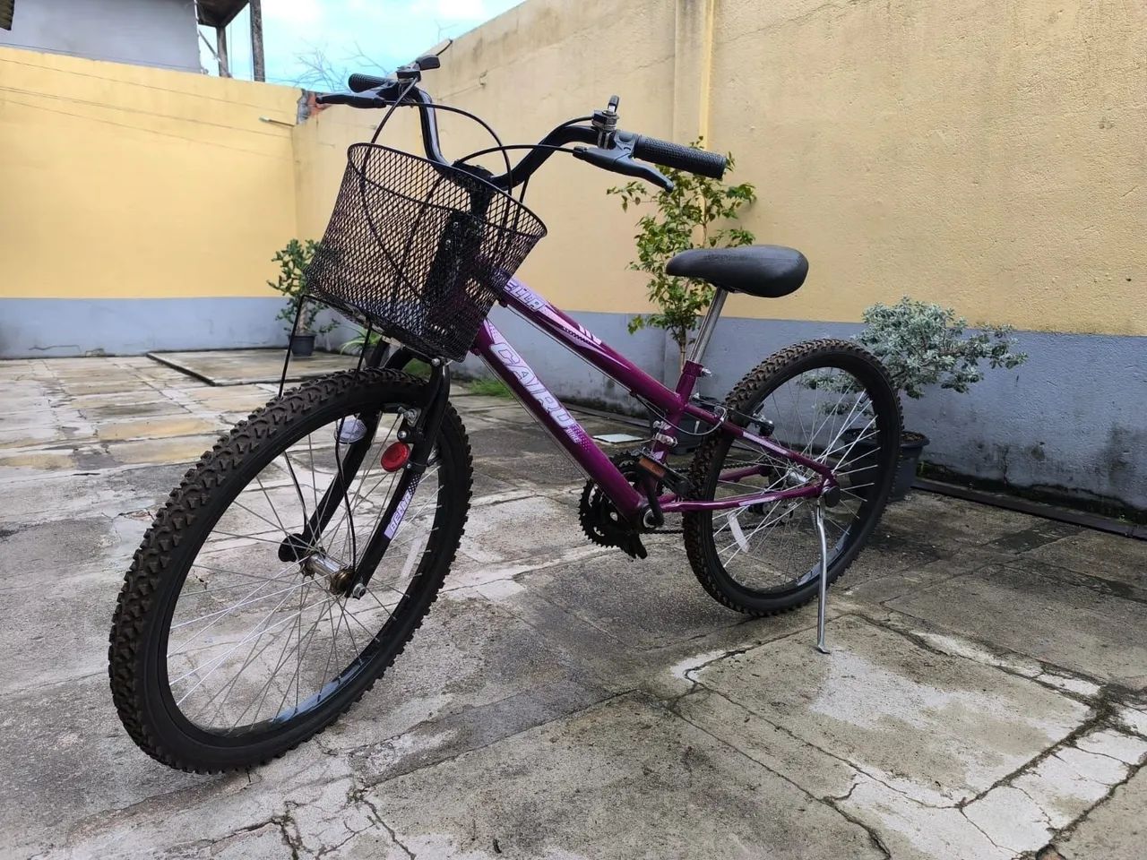 Bicicleta