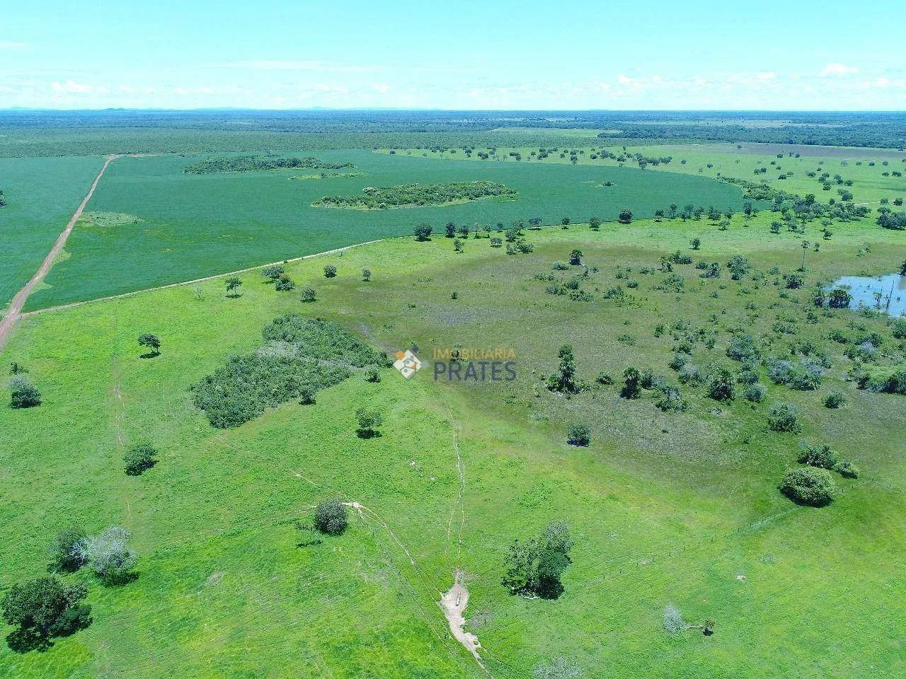Fazenda Peixes/TO - Foto 3