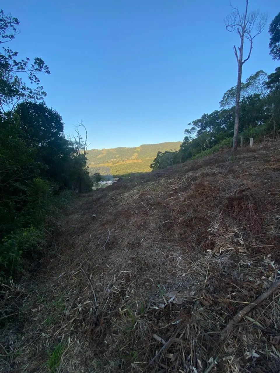 Terreno com bela vista em PAULO LOPES!! - Foto 5