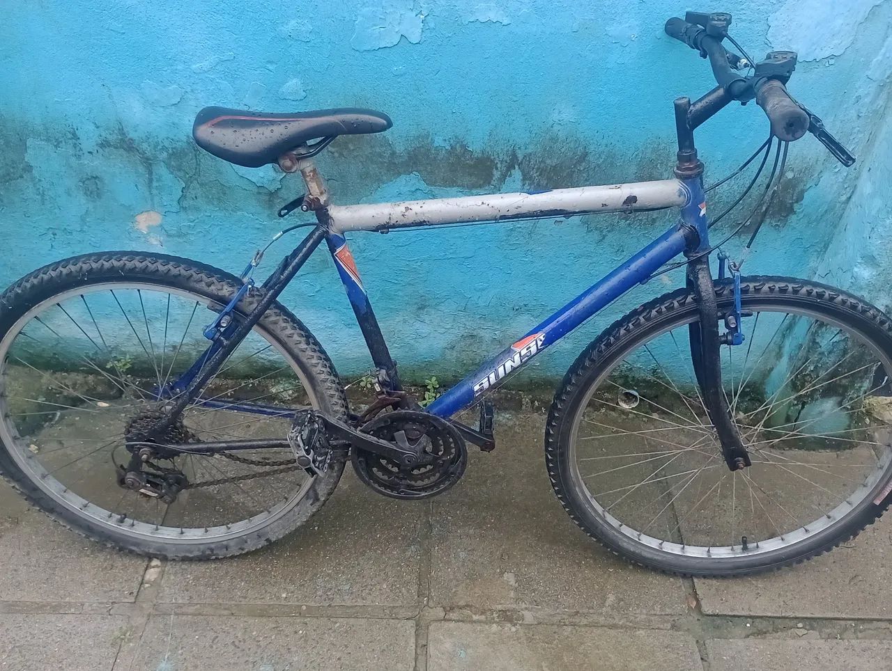 Bicicleta 