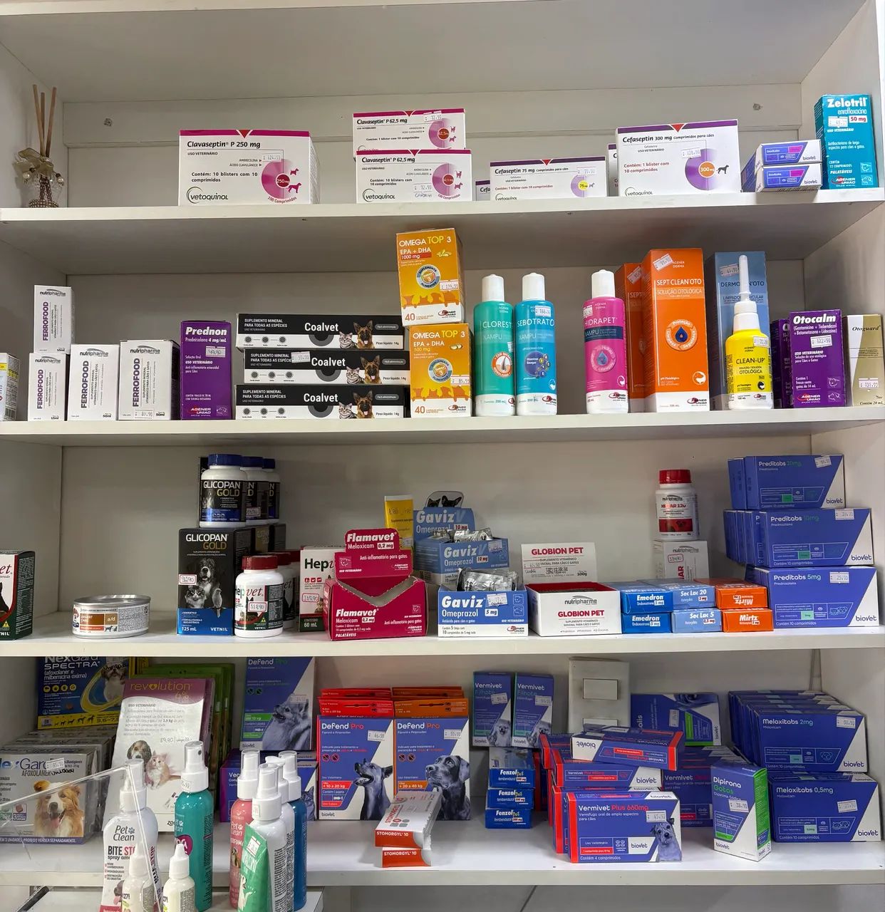 OPORTUNIDADE- PASSO PET SHOP COMPLETO  - Foto 2