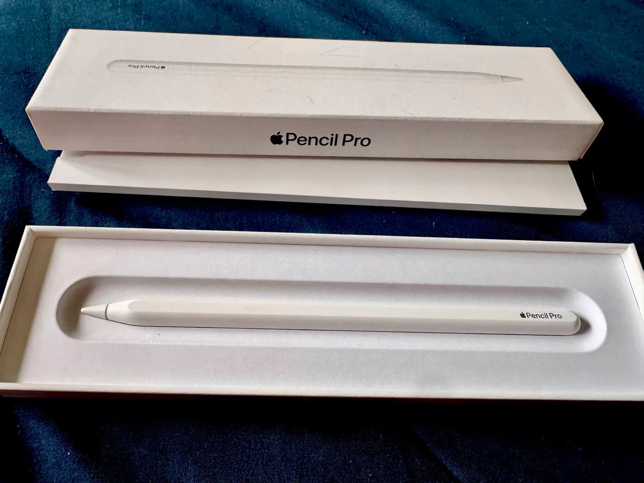 Apple Pencil Pro - Tablets e E-Readers - Serraria, São José