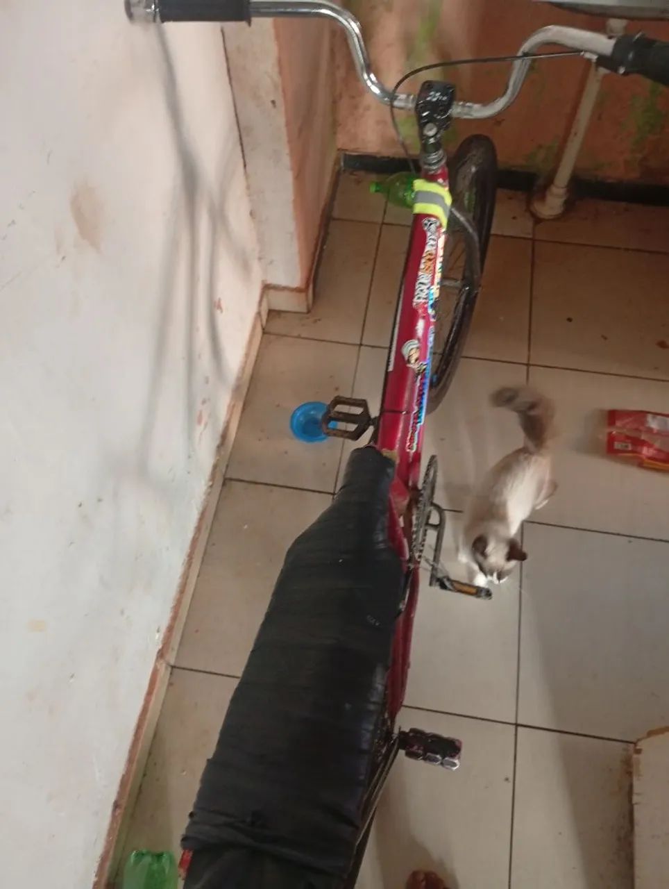 Bike  aro 24  - Foto 2