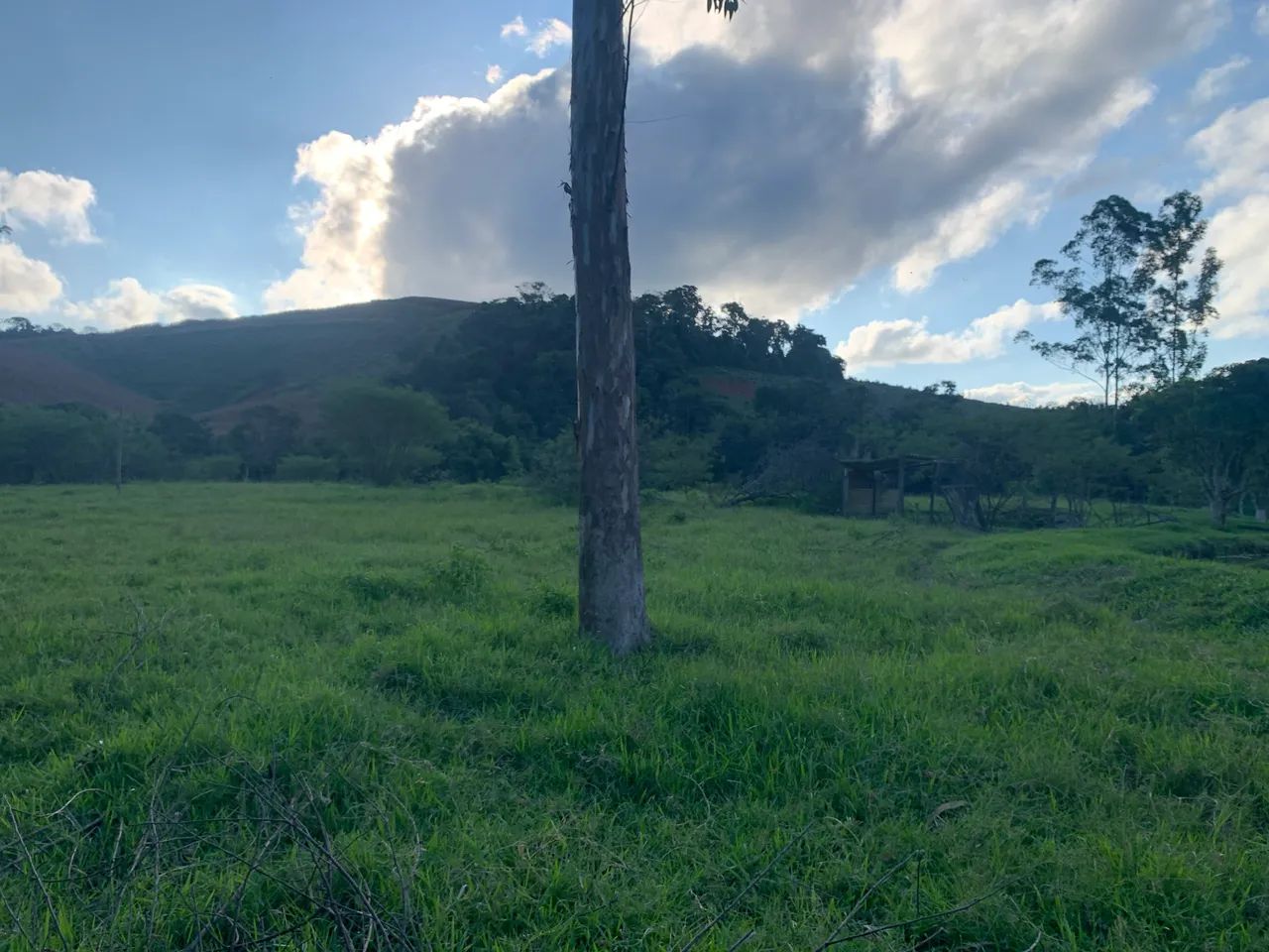 Vendo lotes em Alfredo Vasconcelos - Foto 3