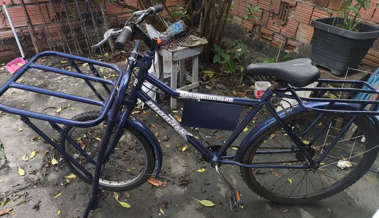Vendo bicicleta carga  - Foto 2