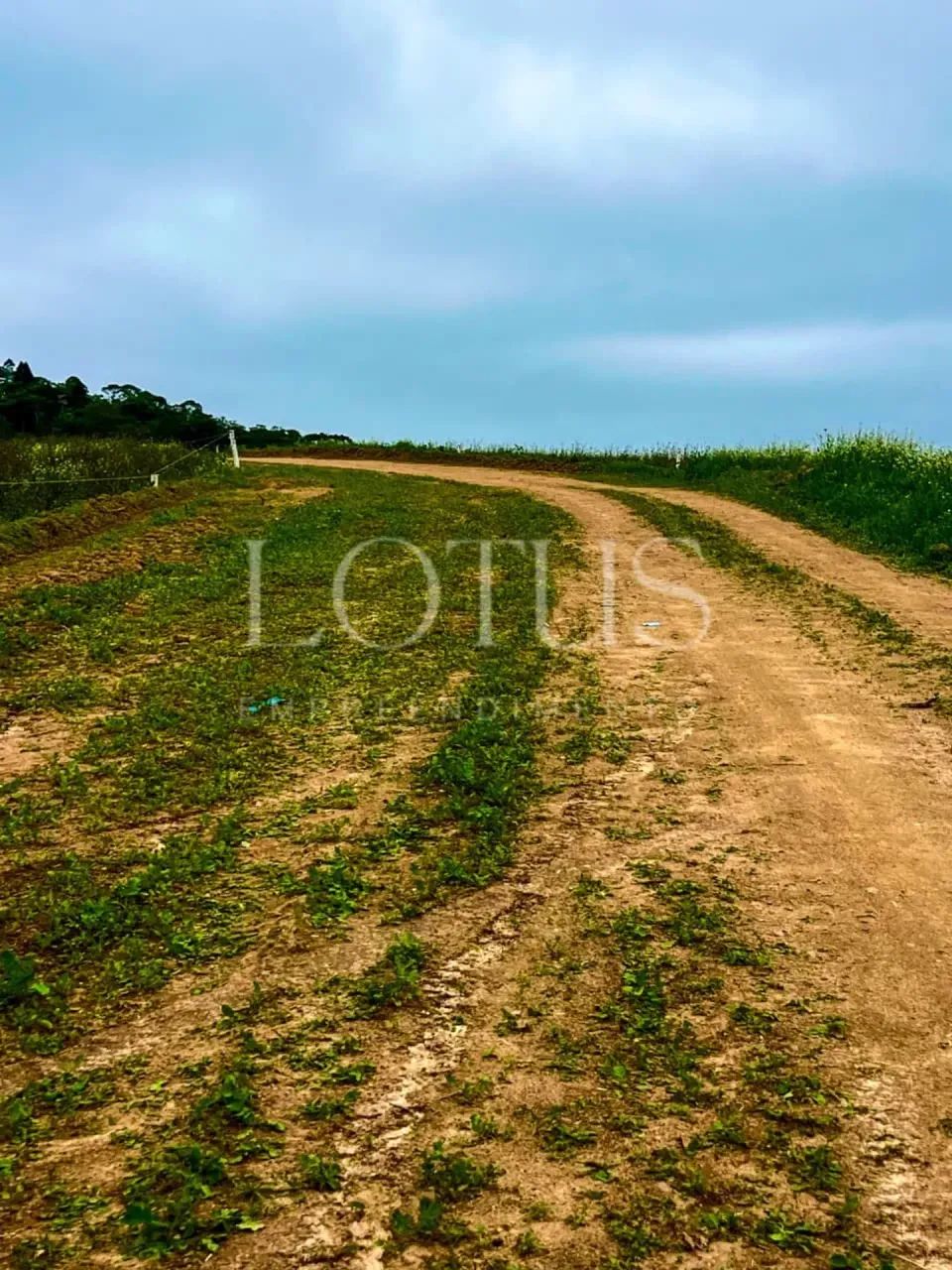 82C-TERRENO 500M COTIA, DIRETO COM PROPRIETÁRIO - Foto 2