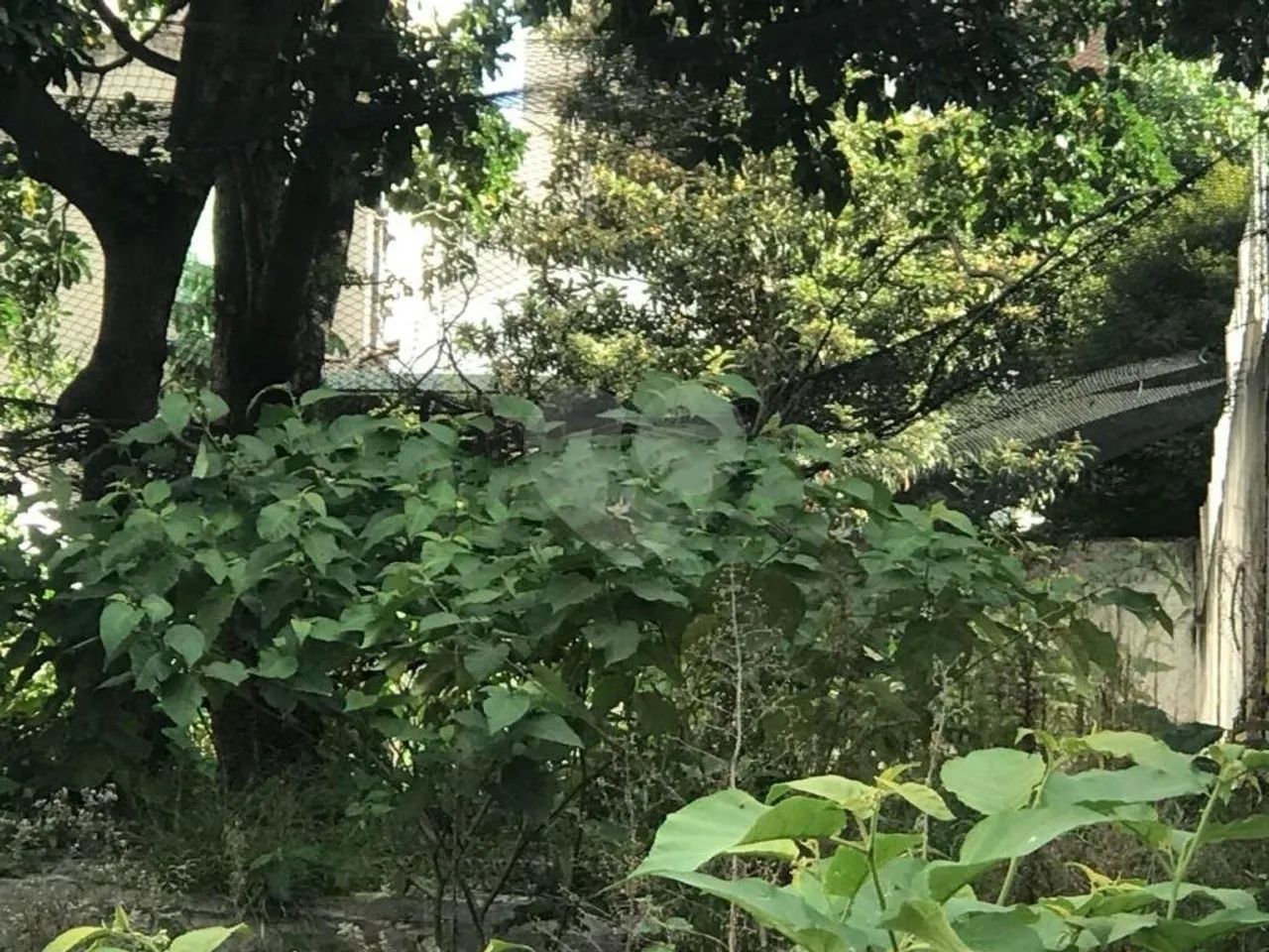 Terreno à venda em Vila uberabinha - SP - Foto 4