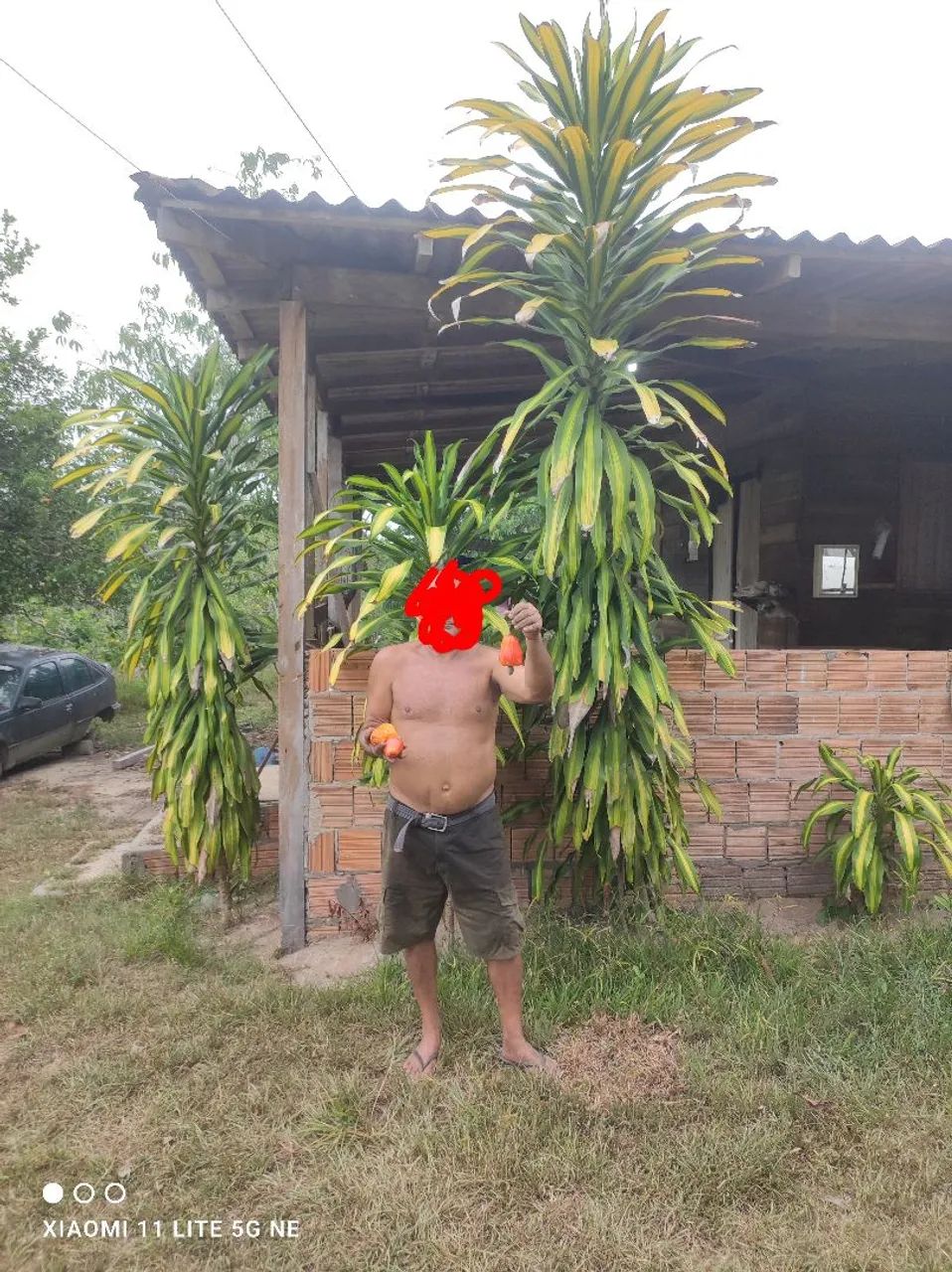 Venda de propriedade (sítio) - Foto 3