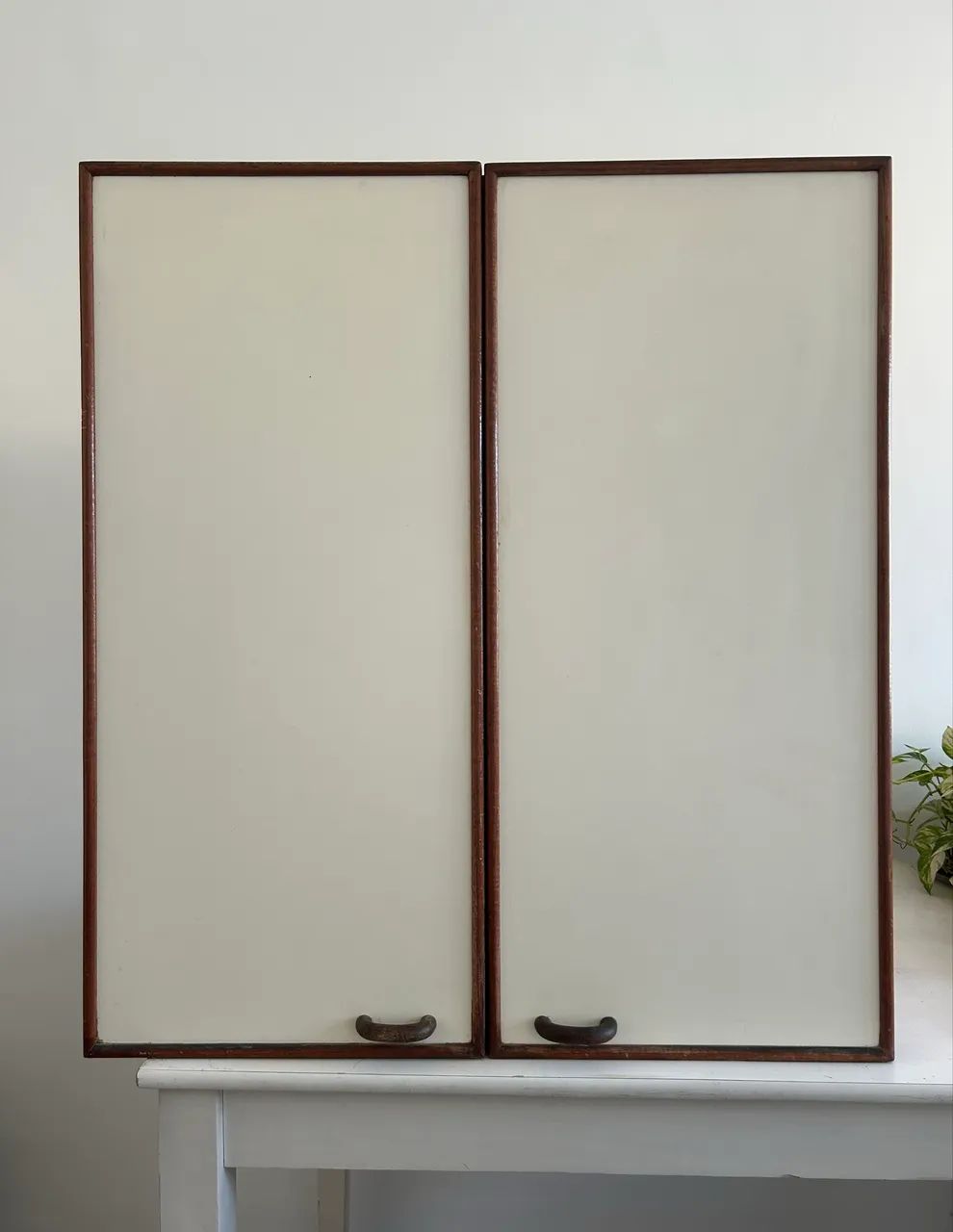Armário duas portas de madeira 