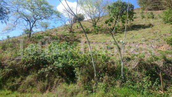 Chácara São Luis, Volta Redonda - Foto 2