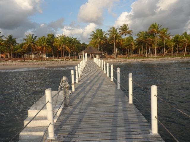 Gleba de Terras, Ilha de Tubarão, Camamu-BA - Foto 15