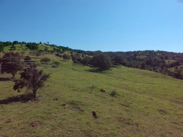 Fazenda 25 Alqueires ( 121 hectares )-Varjão-GO porteira fechada - Foto 2