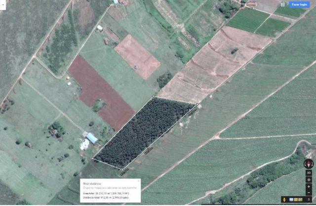 8062 | Chácara à venda em ÁREA RURAL, CRUZEIRO DO SUL