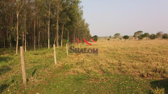 8051 | Fazenda à venda em NÃO INFORMADO, NAVIRAI - Foto 3