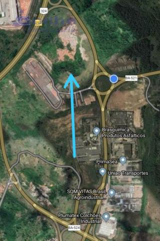 Área 230.000m2 a venda - margeando a br-324 - Foto 2