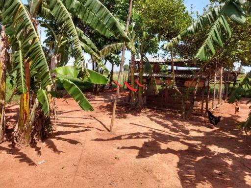 8051 | sítio à venda em não informado, barão de lucena - Foto 7