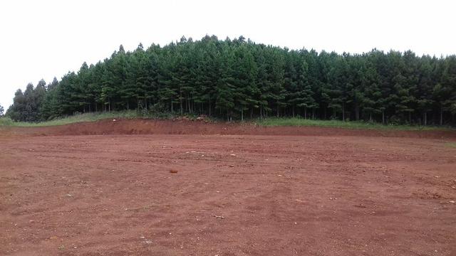 Propriedade Rural em São Francisco de Paula/RS - Rincão dos Kroeff - Foto 14