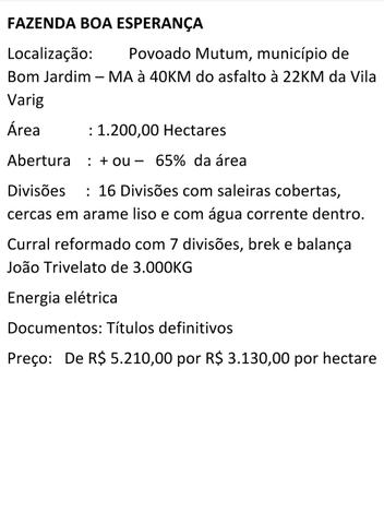 Imperdível vendo excelente Fazenda em Bom Jardim-Ma - Foto 13