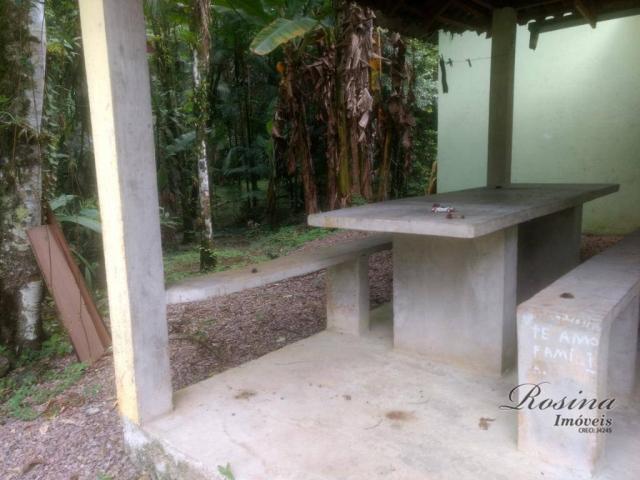 Chácara com 3 dormitórios à venda, 3100 m² por r$ 195.000,00 - porto de cima - morretes/pr - Foto 13