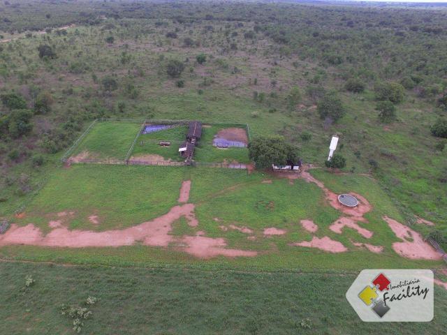 Linda Fazenda estruturada em João Pinheiro MG - Foto 10