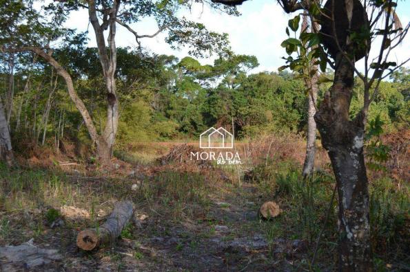 Terreno à venda, 40.920m² por R$ 690.000 - Barra Grande - Maraú/BA - Foto 18