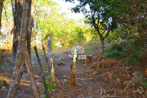 Terreno à venda, 40.920m² por R$ 690.000 - Barra Grande - Maraú/BA - Foto 15