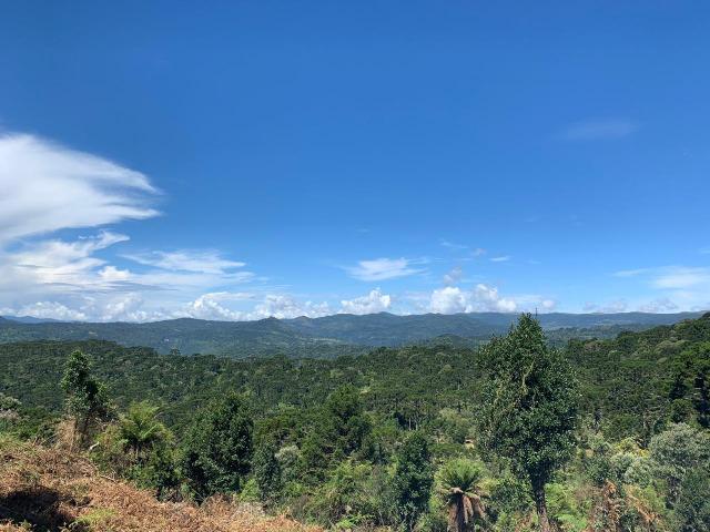 Venda de Chácaras em Urubici - Foto 11