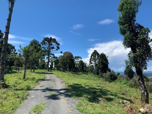 Venda de Chácaras em Urubici - Foto 10