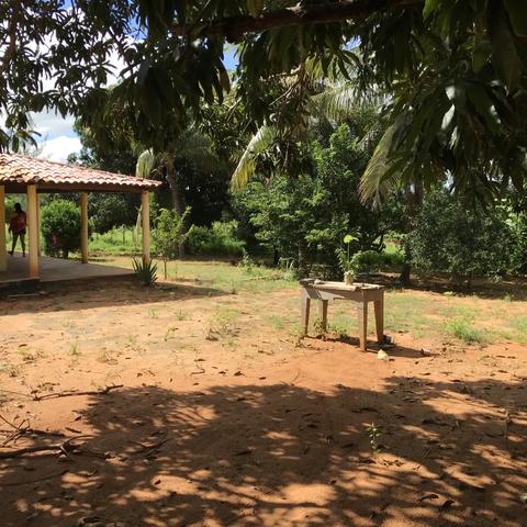 Sítio em Brejo Santo- CE - Foto 3