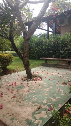Casa em Alter do Chão - Foto 3