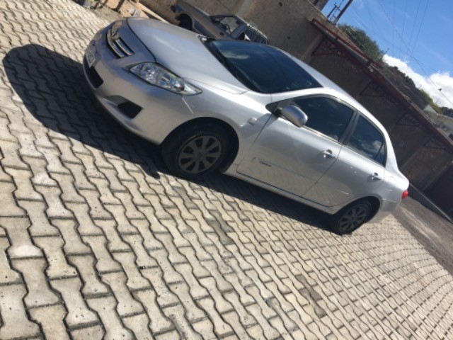 COROLA