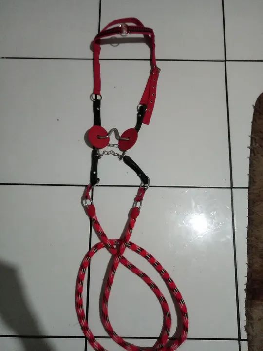 Freio para Cavalo - Novo