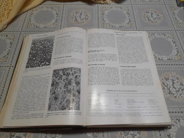 livro: patologia estrutural e funcional - robbins - otimo estado - Foto 3