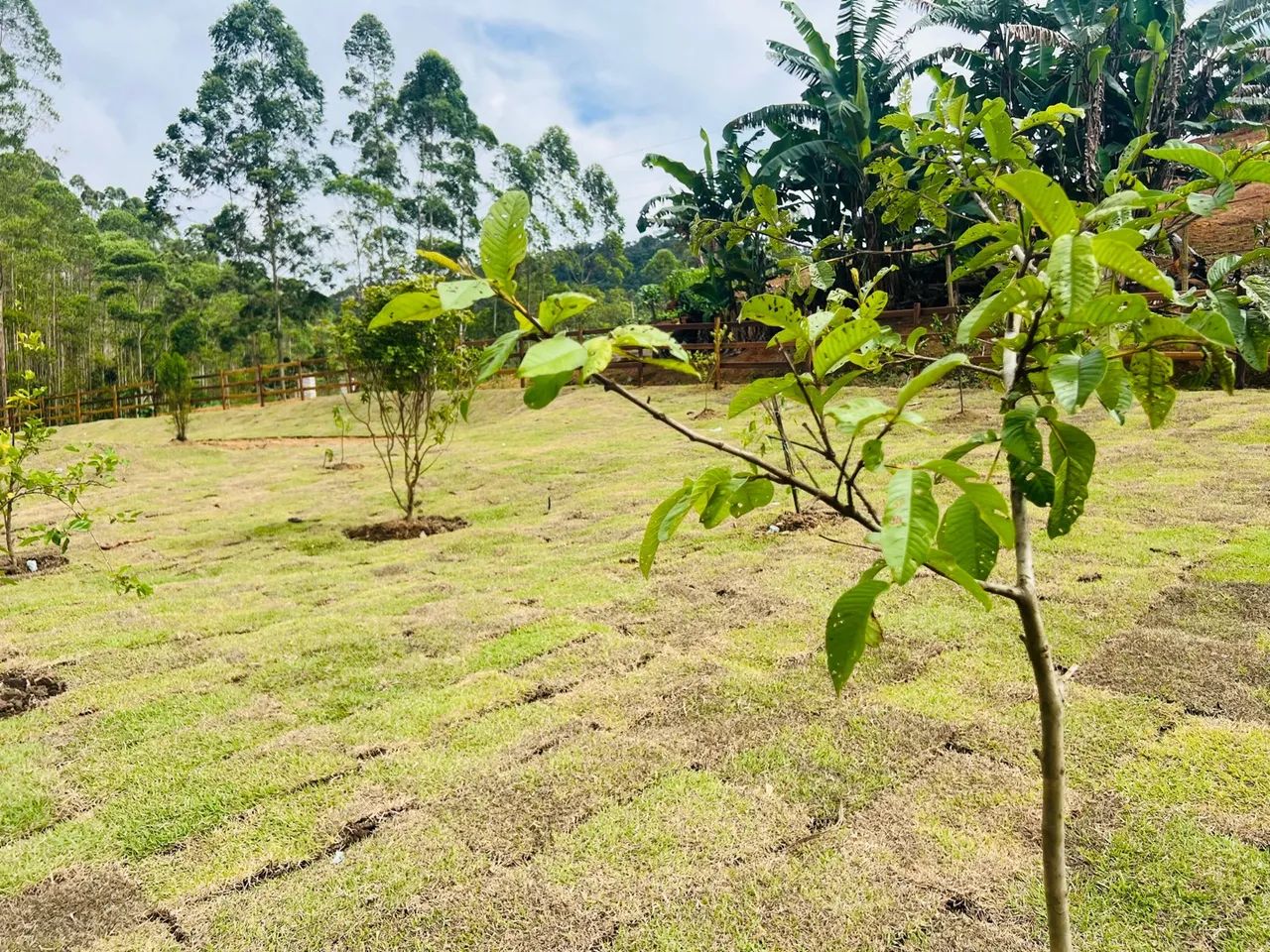 Linda Chácara com lago em Santa Teresa a 5 km do centro  - Foto 5
