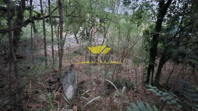 EXCELENTE TERRENO EM CASCADURA ! - Foto 3