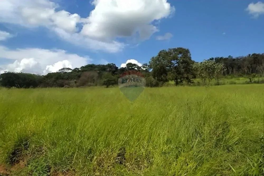 Chácaras de 10.000m em Alto Maranhão, Congonhas ! - Foto 2