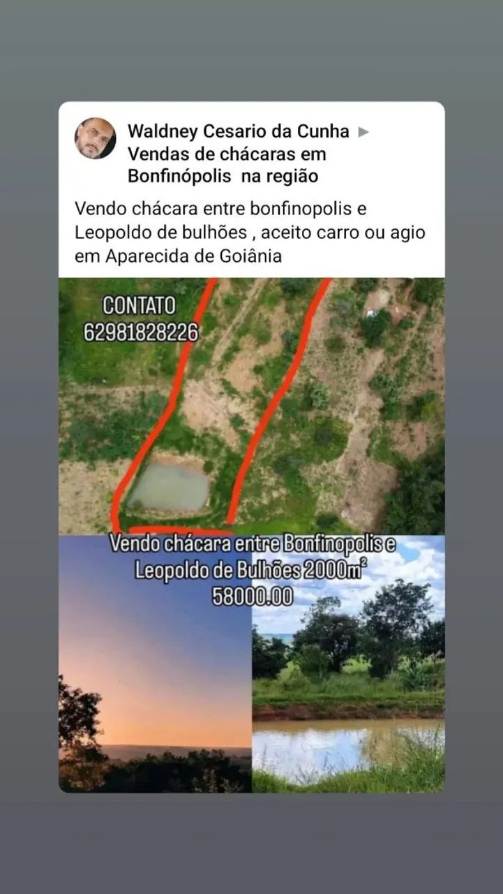 Foto - Goiânia - Jardim Europa