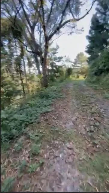 Terreno à venda, BATEIAS , CAMPO LARGO DA ROSEI - PR - Foto 2
