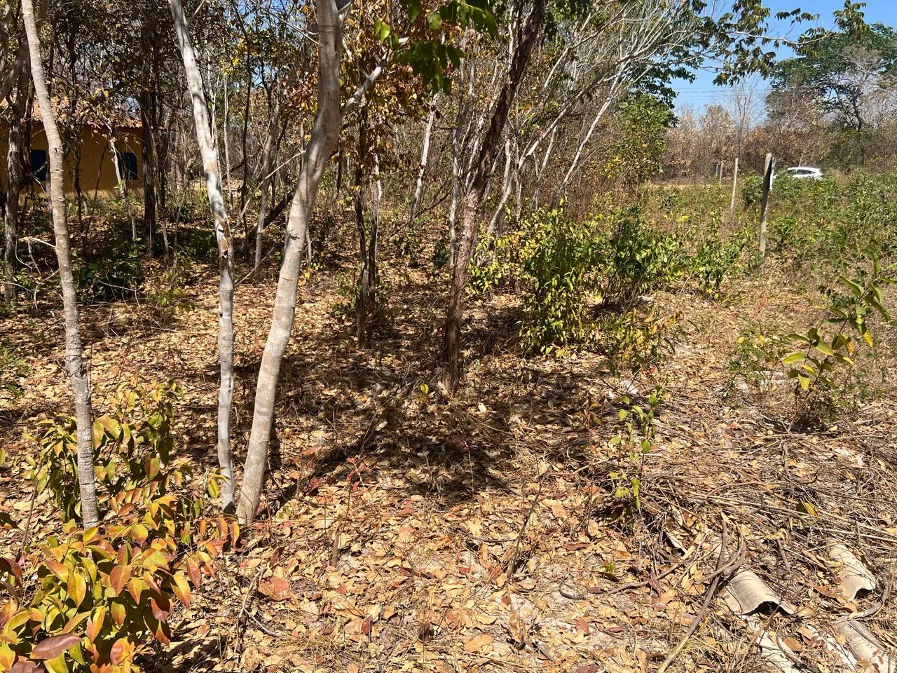 Foto - Goiânia - Setor Sudoeste
