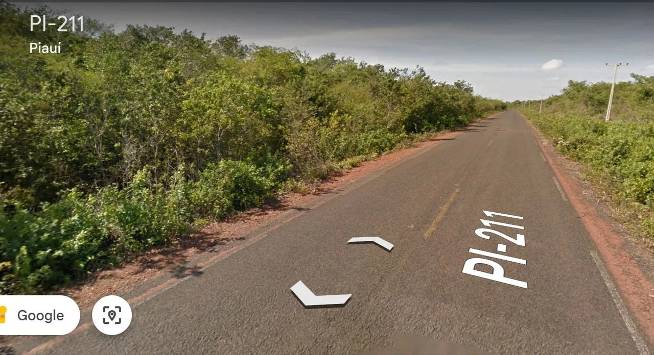 Fazenda 650 ha