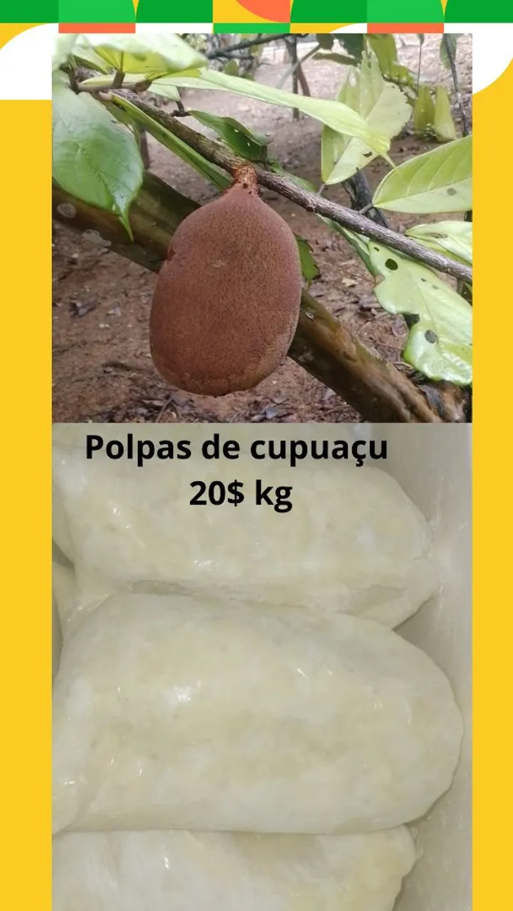 polpas de frutas