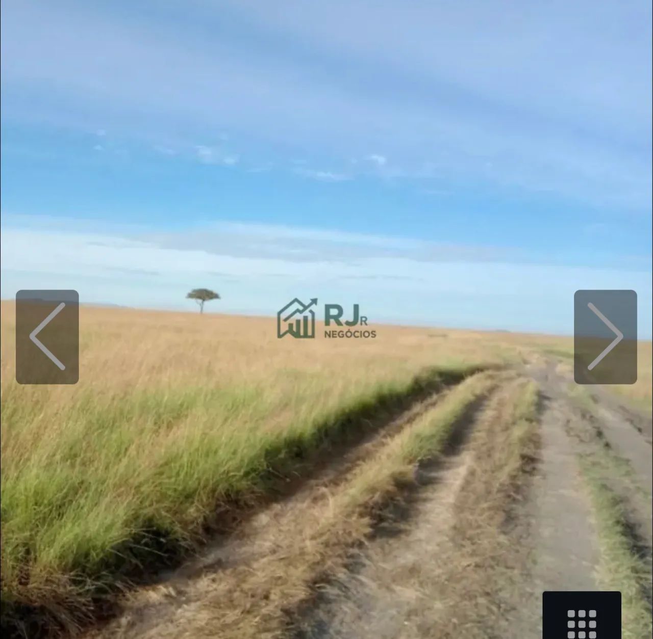 Fazenda à Venda com 76 alq. Distrito Guaravera