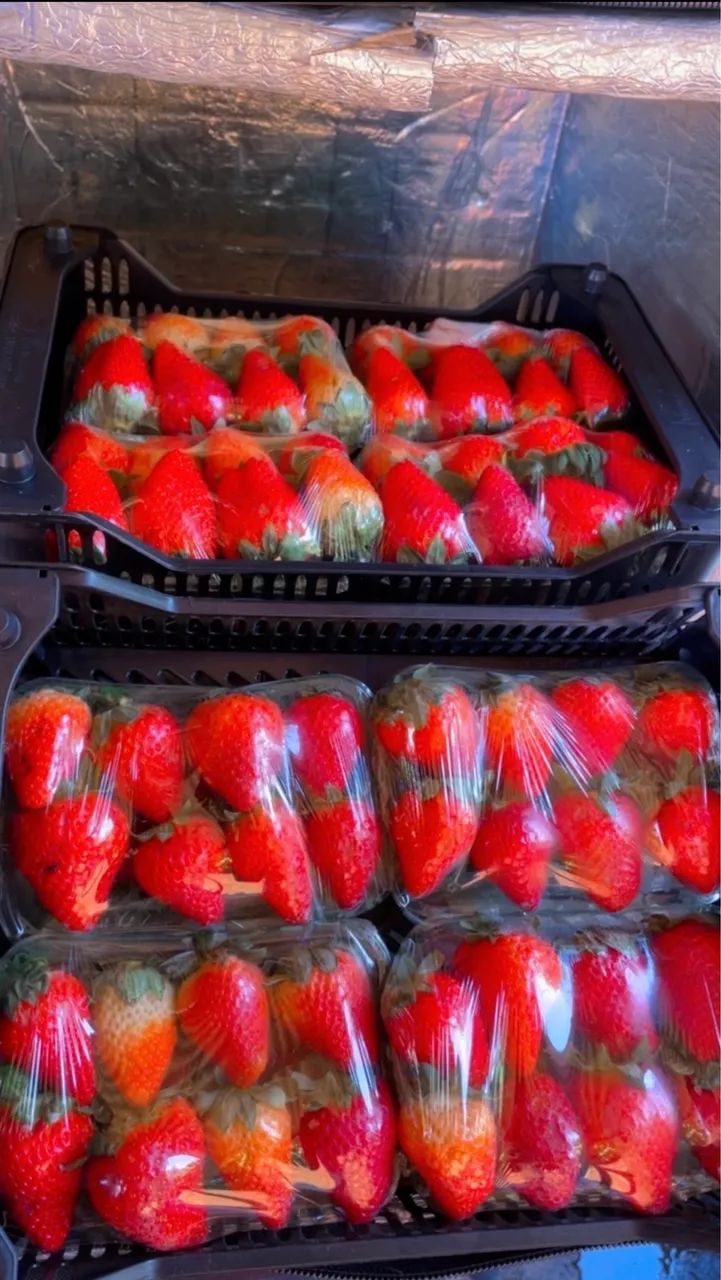 Entregamos aparti das 13::00 morangos 50 reais caixa 