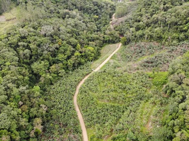 6,9 hectares  - Foto 4