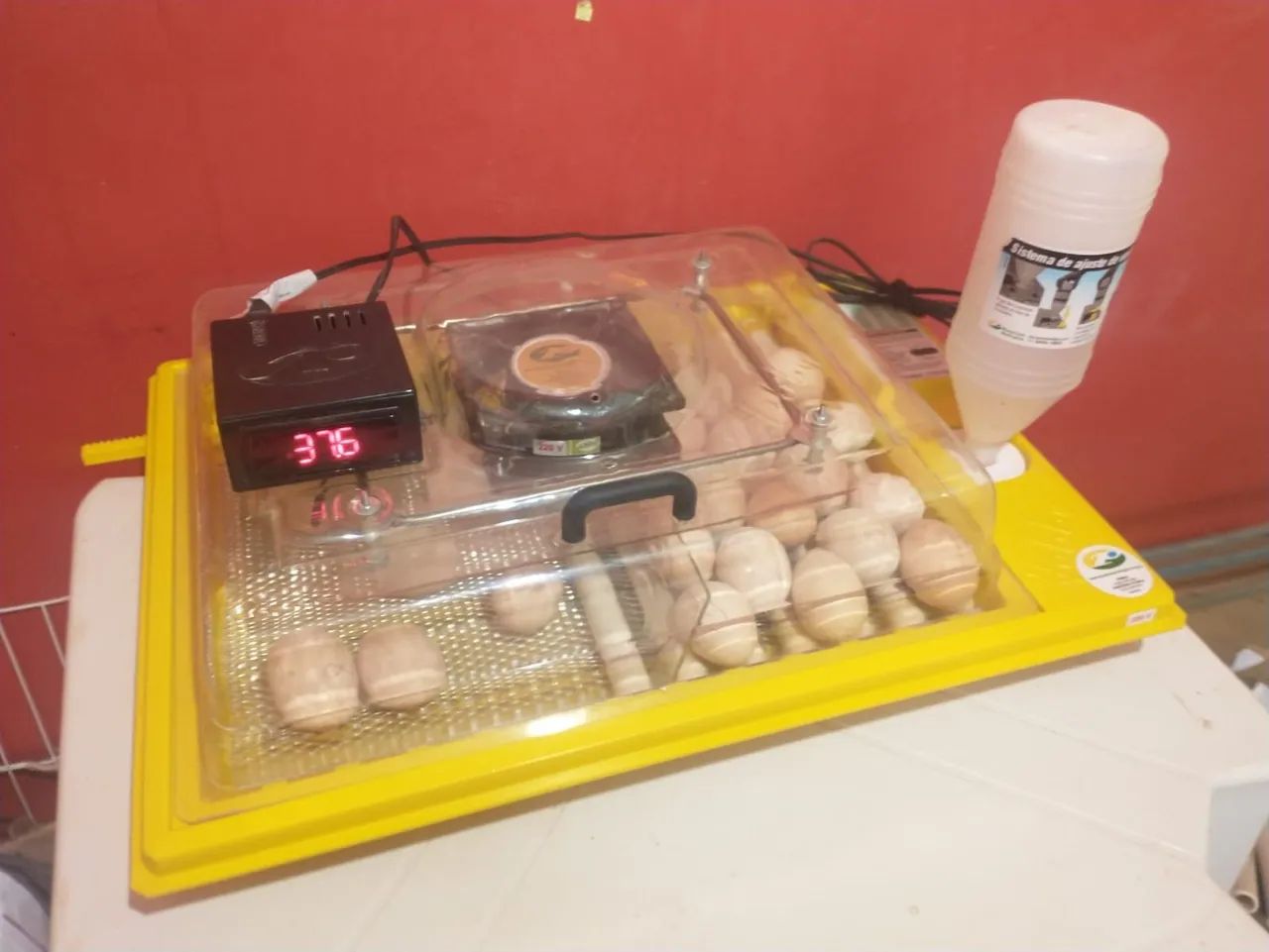 Chocadeira Premium Ecológica 48 ovos - Foto 2